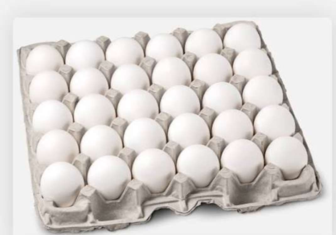 تخم مرغ 